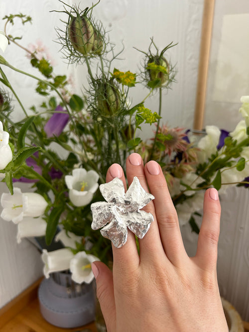 Ipomoea Ring Variation 01