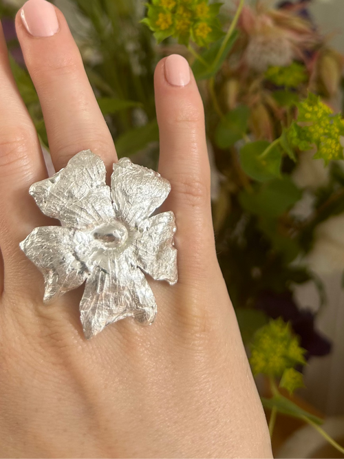 Ipomoea Ring Variation 02