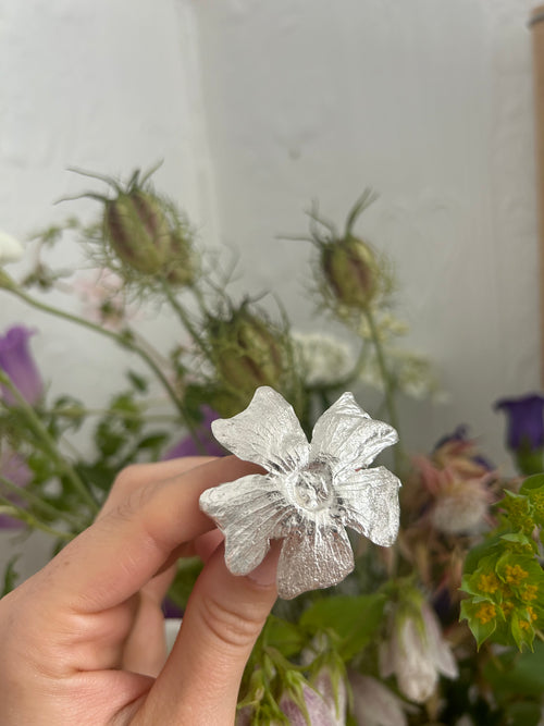 Ipomoea Ring Variation 03